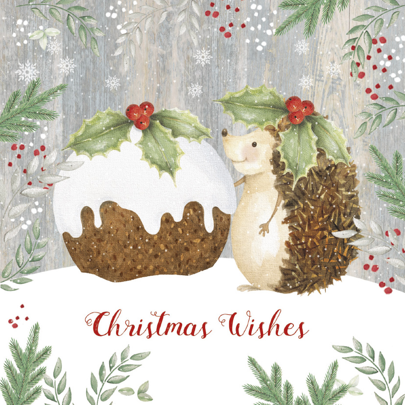 Hedgehog and Pudding” Christmas card pack - The British Hedgehog Preservation Society Online Shop