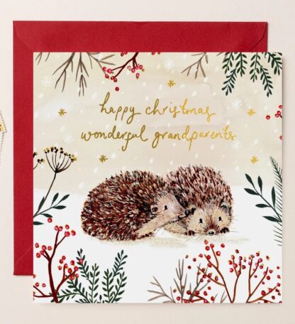 happy christmas wonderful grandparents single Christmas card