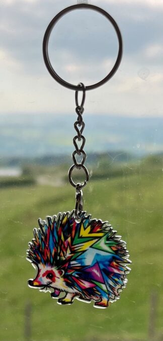 Multicoloured hedgehog acrylic Keyring