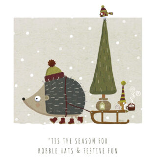 "Festive Fun" Christmas Card Pack