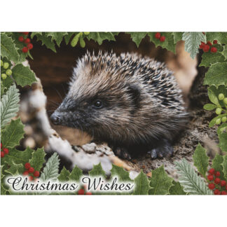 "Holly" Christmas card pack