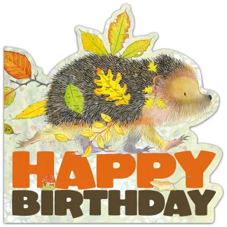 Eric Heyman die cut birthday card