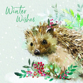 Winter Wishes Christmas card pack